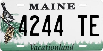 ME license plate 4244TE
