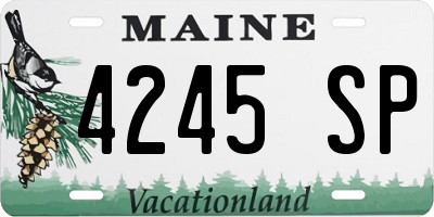 ME license plate 4245SP
