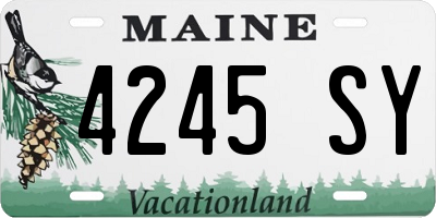 ME license plate 4245SY