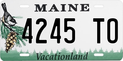 ME license plate 4245TO