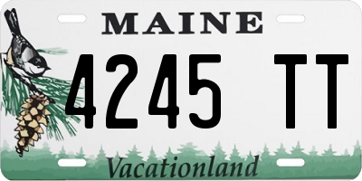 ME license plate 4245TT