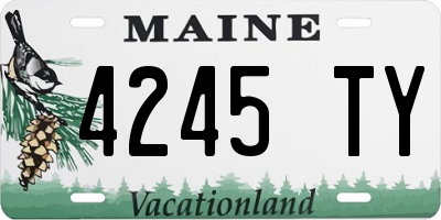 ME license plate 4245TY