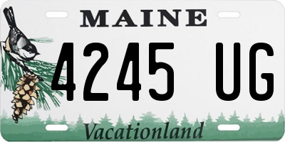 ME license plate 4245UG