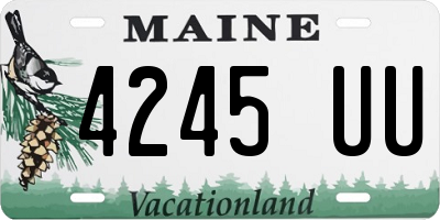 ME license plate 4245UU