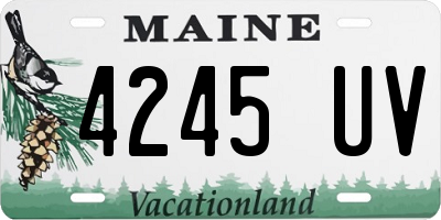 ME license plate 4245UV