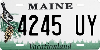 ME license plate 4245UY