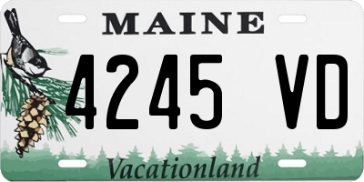 ME license plate 4245VD