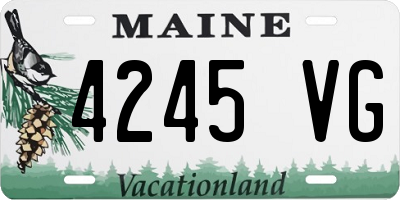 ME license plate 4245VG