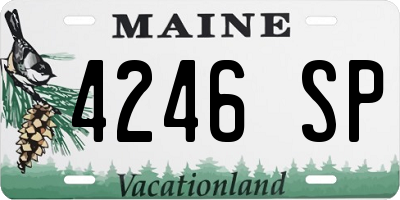 ME license plate 4246SP