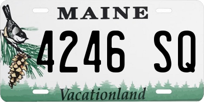ME license plate 4246SQ
