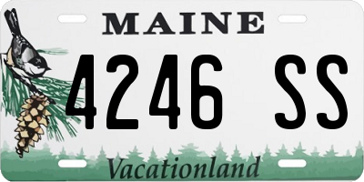 ME license plate 4246SS