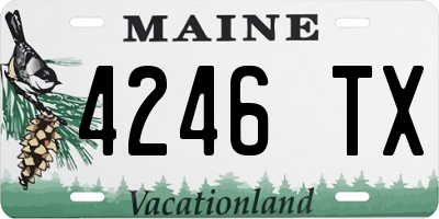 ME license plate 4246TX