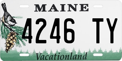 ME license plate 4246TY