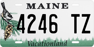 ME license plate 4246TZ