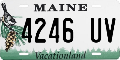 ME license plate 4246UV