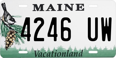 ME license plate 4246UW