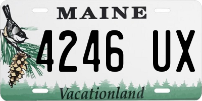ME license plate 4246UX