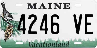ME license plate 4246VE