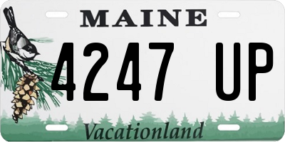 ME license plate 4247UP