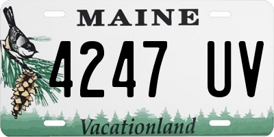 ME license plate 4247UV