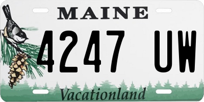 ME license plate 4247UW