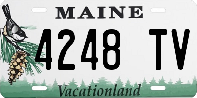 ME license plate 4248TV