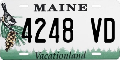 ME license plate 4248VD