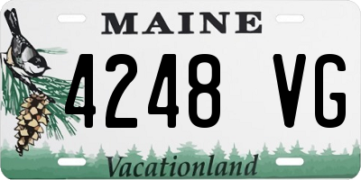 ME license plate 4248VG