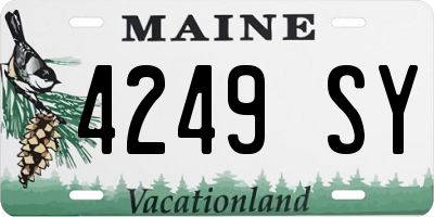 ME license plate 4249SY