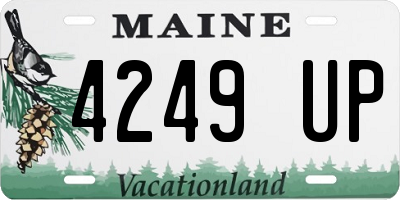 ME license plate 4249UP