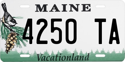 ME license plate 4250TA