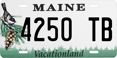 ME license plate 4250TB