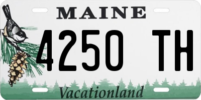 ME license plate 4250TH