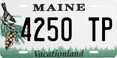 ME license plate 4250TP