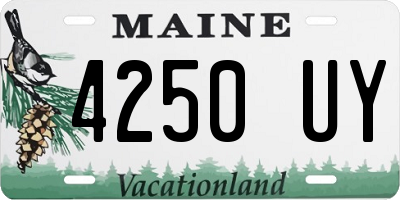 ME license plate 4250UY