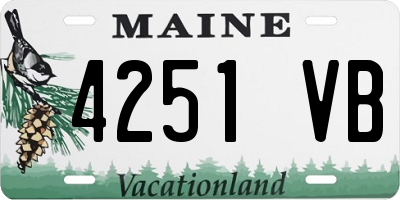 ME license plate 4251VB