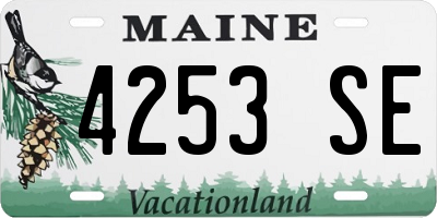 ME license plate 4253SE