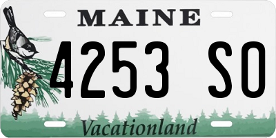 ME license plate 4253SO