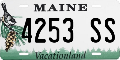 ME license plate 4253SS