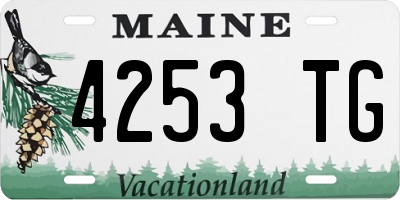 ME license plate 4253TG