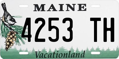 ME license plate 4253TH
