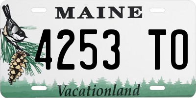 ME license plate 4253TO