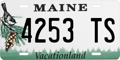 ME license plate 4253TS