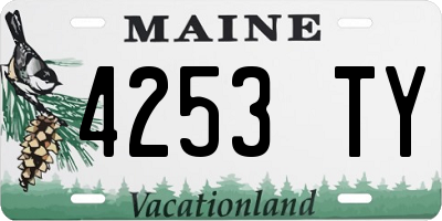 ME license plate 4253TY