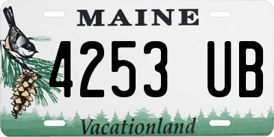 ME license plate 4253UB