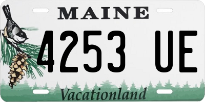 ME license plate 4253UE