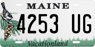ME license plate 4253UG
