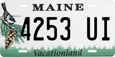 ME license plate 4253UI
