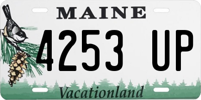 ME license plate 4253UP