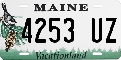 ME license plate 4253UZ